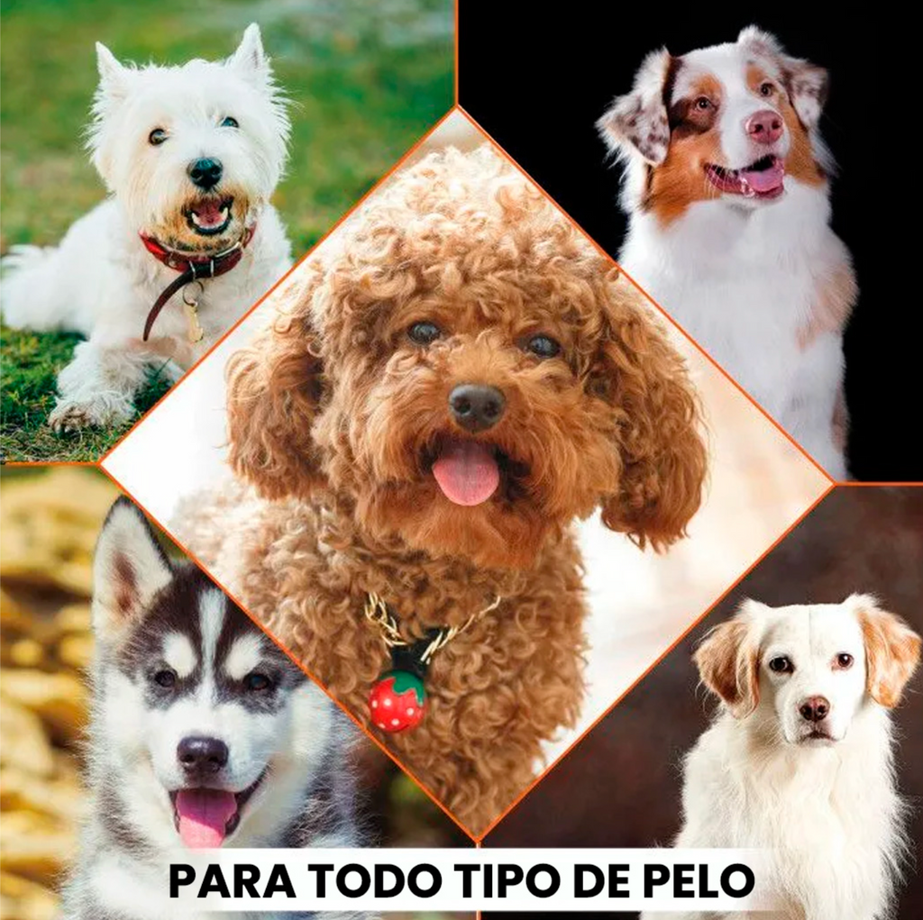 Shampoo Para Mascotas - FLEA & TICK SHAMPOO - Wahl