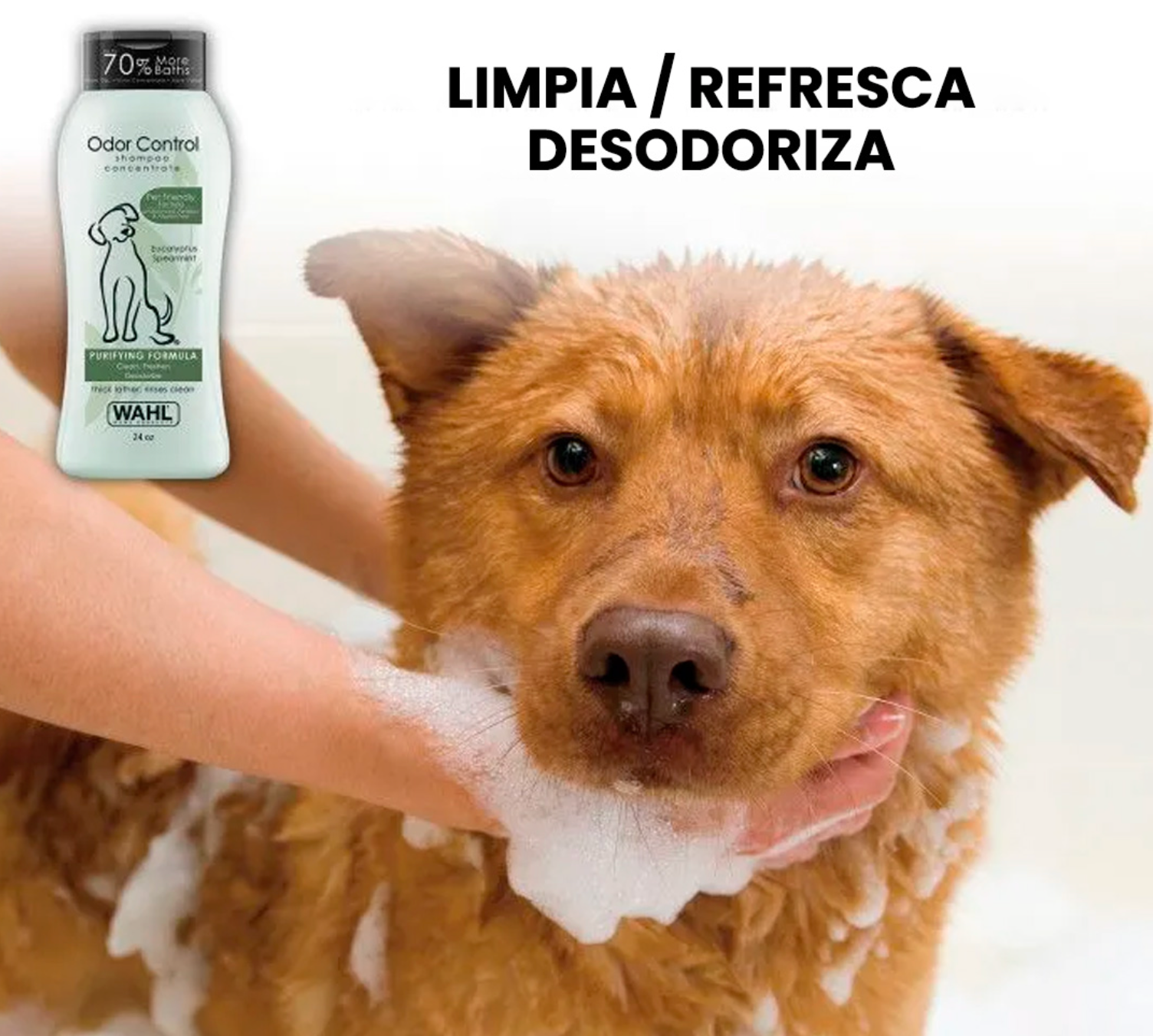 Shampoo Para Mascotas – ODOR CONTROL PURIFYING FORMULA - Wahl